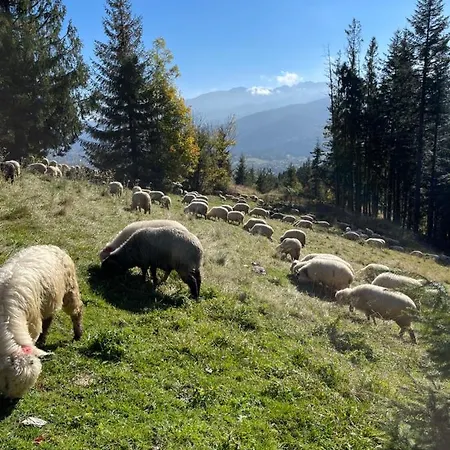Goralskie Domki Pod Gontem Na Polanie Pajakowka Koscielisko Exterior photo
