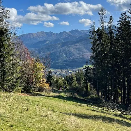 Goralskie Domki Pod Gontem Na Polanie Pajakowka Koscielisko Exterior photo
