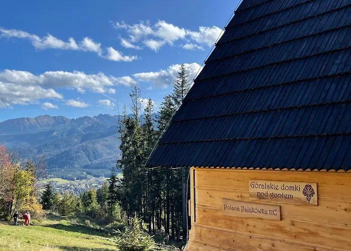 Goralskie Domki Pod Gontem Na Polanie Pajakowka