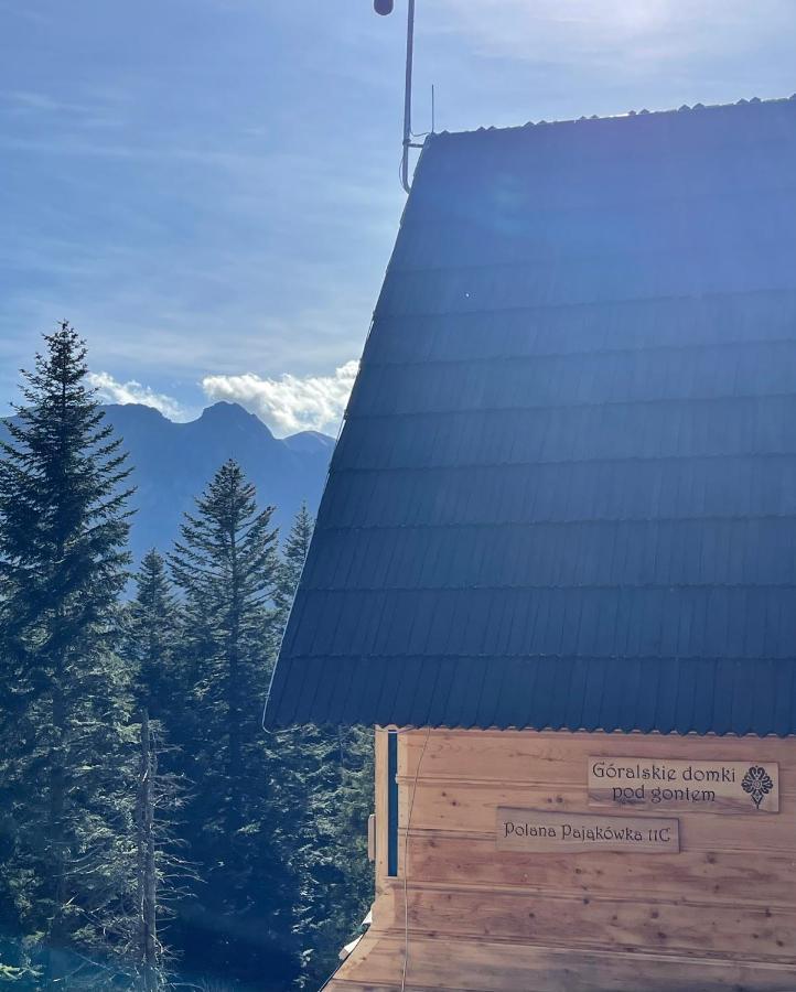 Holiday home Goralskie Pod Gontem Na Polanie Pajakowka *