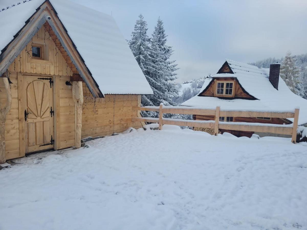 Holiday home Goralskie Pod Gontem Na Polanie Pajakowka *